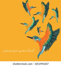 Kingfishers flying. Vector illustration of the birds on orange background. Place for your text.