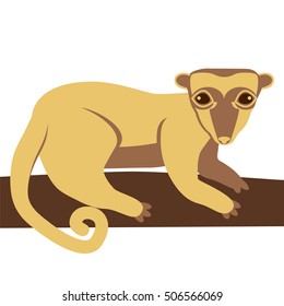 Kinkajou honey bear. Vector stock illustration of a small mammal animal on a tree branch.