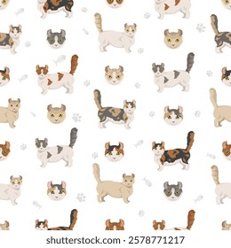 Kinkalow Cat clipart. All coat colors set.  All cat breeds characteristics infographic. Vector illustration