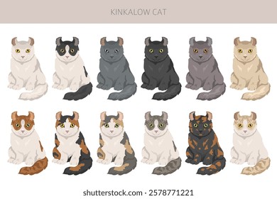 Kinkalow Cat clipart. All coat colors set.  All cat breeds characteristics infographic. Vector illustration