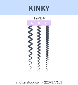 Sistema de clasificación de tipo de pelo rizado. Gráfica detallada del estilo de crecimiento del cabello humano. Atención de salud y concepto de belleza. Ilustración vectorial.