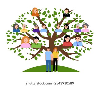 Kinship family tree. Vector simple color flat illustration.