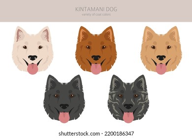 Kintamani, el escalador de perros de Bali. Colores de abrigo diferentes.  Ilustración del vector