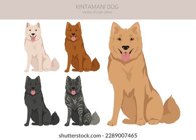 Kintamani, el escalador de perros de Bali. Colores de abrigo diferentes.  Ilustración del vector