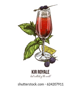 Kir Royale cocktail with blackberries, vector illustration, hand drawn sketch, colored