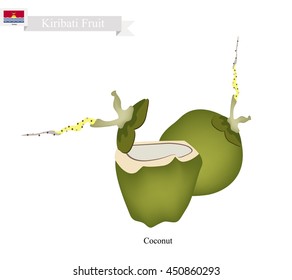 Kiribati Fruit, Fresh Coconut. One of The Most Popular Fruits in Kiribati.