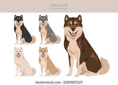 Kishu Ken clipart. Different poses, coat colors set.  Vector illustration