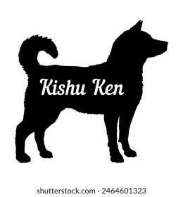 Kishu Ken Dog silhouette dog breeds logo dog monogram vector