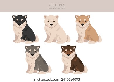 Kishu Ken puppy clipart. Different poses, coat colors set.  Vector illustration