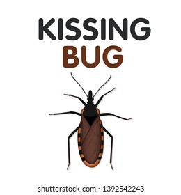 Kissing Bug Poster, also known as vampire bug, sucks blood from its victims face, can carry Trypanosoma cruzi parasite that causes Chagas disease, a public health concern, insects are brown to black, some have red, yellow, tan marking. EPS vector file and any of its elements can be resized to any dimension without losing quality. 