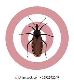 Kissing Bug, sucks blood from its victims face, can carry Trypanosoma cruzi parasite that causes Chagas disease, a public health concern, insects are brown to black, some have red, yellow, tan marking
