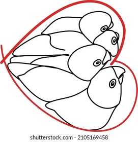 Kissing couple of love birds. Kiss pigeon for valentine day or wedding. Valentine day vector illustration for t-shirt, slogan design, print style, graphics