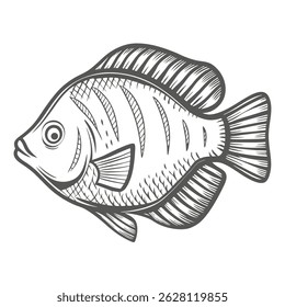 Kissing Gourami Fish Line Art Illustration