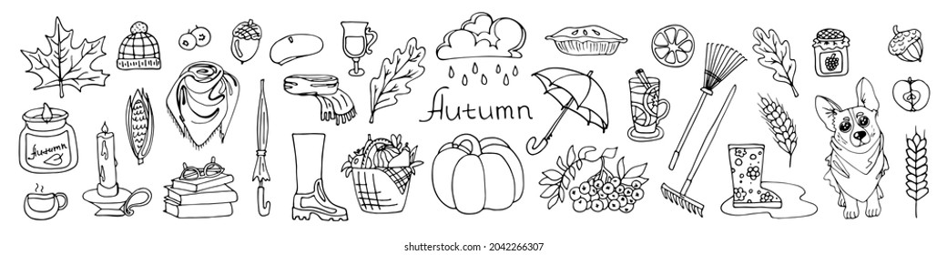 Kit Autumn set Warm clothes, rubber boots, a basket of vegetables, pumpkin, tree leaves, corgi dog, mulled wine, jam, acorn, mountain ash, rake, grain, books Vector hand-drawn illustration Stickers