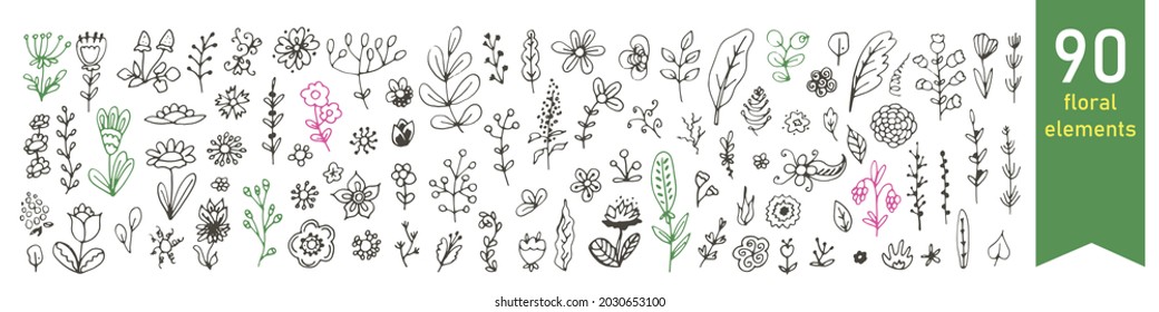 Kit. Floral elements. Leaves. Flower. Plant. Doodles. Vector hand drawn stock illustration. White background. Set. Line. Graphics. 