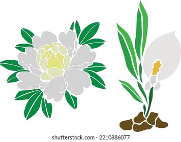 Kit Flowers Color Vector, Print, Illustration