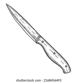 kitchen carving knife isolated doodle hand drawn sketch with outline style