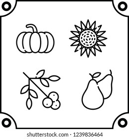 kitchen food icon vector