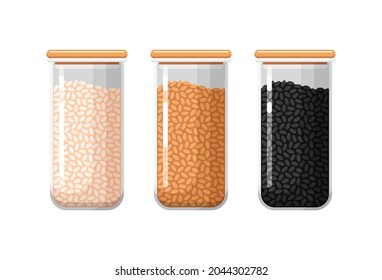 Kitchen Food Storage Containers With White, Brown And Black Rice. Closed Transparent Boxes For Dry Bulk Products. Set Of Vector Isolated Colorful Illustrations