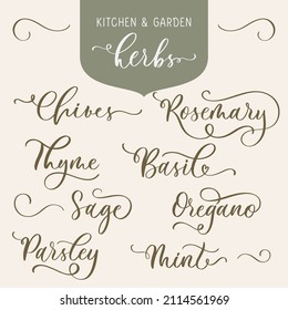Kitchen and garden herbs. Set of lettering inscription aromatic and medicinal herb Botanical design element. Perfect for recipe, label, packaging