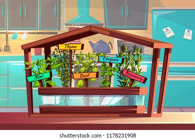 Kitchen garden vector illustration of herbs and spices thyme, mint or basil and oregano with rosemary growing in wooden box on table. Hydroponics or vegetable and seasonings domestic cultivation