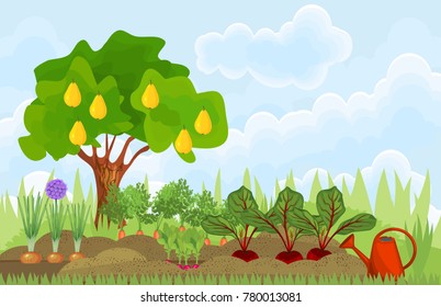 Kitchen garden or vegetable garden with different vegetables and fruit tree. Garden in the summer