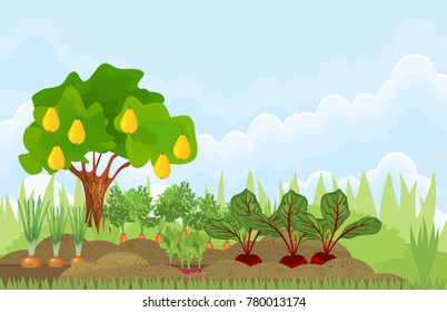 Kitchen garden or vegetable garden with different vegetables and fruit tree. Garden in the summer