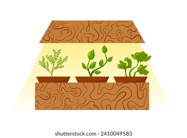Kitchen greenery, plant in pot, lamp for growing herbs, seedling lighting. Vector illustration. Rosemary, lettuce, bay leaf