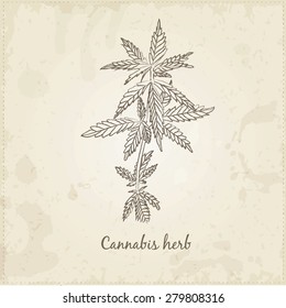 Kitchen hand-drawn herbs and spices .Health and Nature Collection. Labels for Essential Oils and Natural Supplements. Cannabis herb.