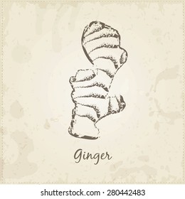 Kitchen hand-drawn herbs and spices .Health and Nature Collection. Labels for Essential Oils and Natural Supplements. Ginger.