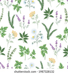 Kitchen herbs and flowers seamless pattern