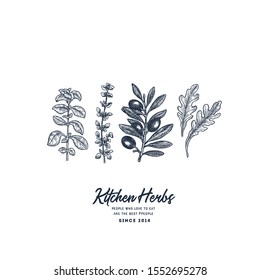 Kitchen herbs illustration. Oregano, thyme, olive, ruccola engraved vintage style. Vector illustration