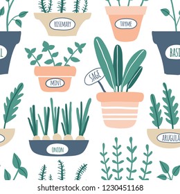 Kitchen herbs seamless pattern. Green growing sage, rosemary, mint, thyme, arugula, onion with labels. Culinary herbs in pots. Gardening. Vector hand drawn illustration
