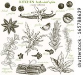 Kitchen herbs and spice, vector collection 2.