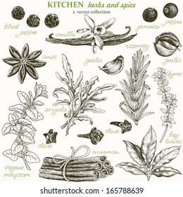 Kitchen herbs and spice, vector collection 2.