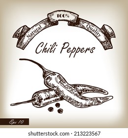 Kitchen herbs and spices. Chili Pepper hand drawn illustration in sketch style