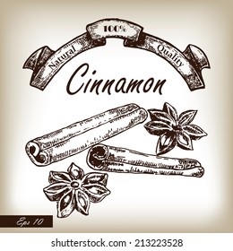 Kitchen herbs and spices. Cinnamon hand drawn illustration in sketch style