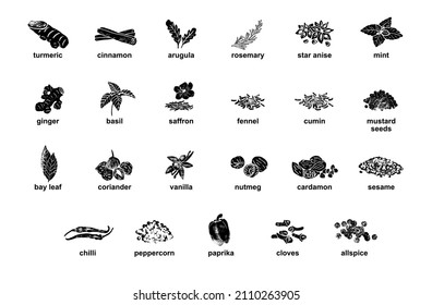 Kitchen herbs and spices isolated vector set. Illustration of ingredient herb, garlic and spice for cooking.