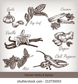 Kitchen herbs and spices set hand drawn vector illustration