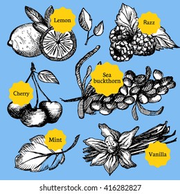 Kitchen herbs and spices set hand drawn vector illustration