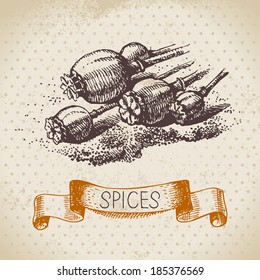 Kitchen herbs and spices. Vintage background with hand drawn sketch poppy seeds