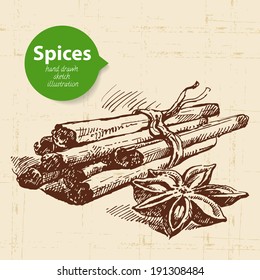 Kitchen herbs and spices. Vintage background with hand drawn sketch cinnamon
