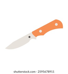  A kitchen kinfe isolated on a white background.