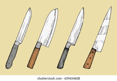 Kitchen knives sketch. Vector hand drawing