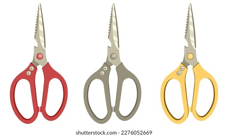 Kitchen scissors. Isolated on white background