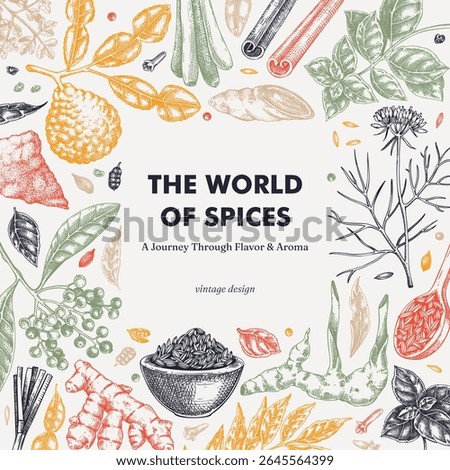 Kitchen spice and herbs frame design. Hand-drawn vector illustration. Vintage food menu, card, print in sketch style. NOT AI generated