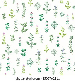 Kitchen spice herbs seamless background. Repeatable pattern with various aromatic plants. Repeat motif with seasoning greenery from garden. Spice herbs series. Vector illustration.