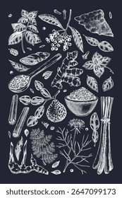 Kitchen spices poster design. Hand-drawn basil, galangal, cumin, turmeric, lemongrass, lime sketches. Kitchen herbs on chalkboard. Food design print. NOT AI generated