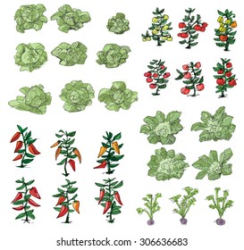 kitchen-garden - cartoon
