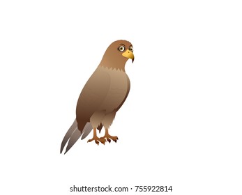 Kite Bird - Cartoon Vector Image